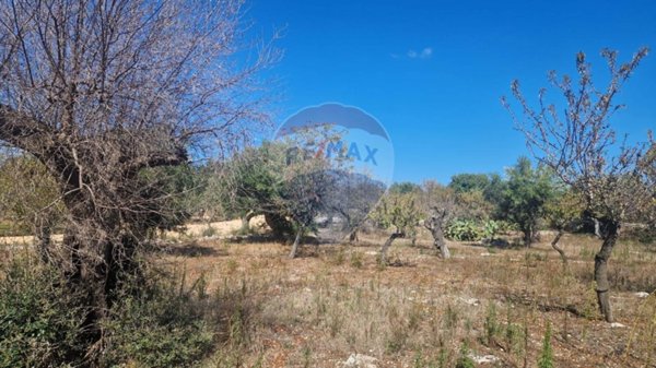 terreno agricolo in vendita a Monopoli in zona Cozzana