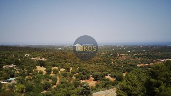 terreno agricolo in vendita a Monopoli