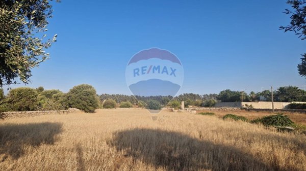 terreno agricolo in vendita a Monopoli