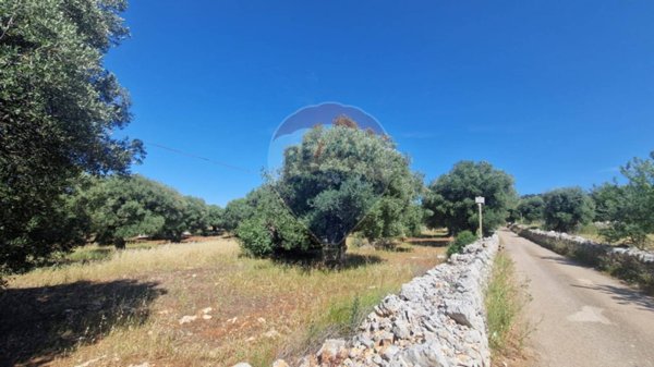 terreno agricolo in vendita a Monopoli in zona Cristo Re
