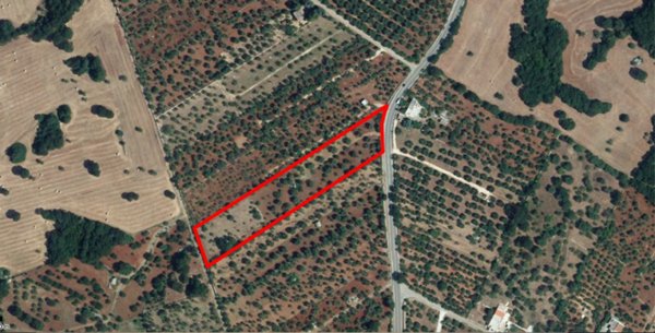 terreno agricolo in vendita a Monopoli in zona Cristo Re