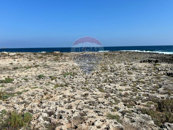 terreno agricolo in vendita a Monopoli