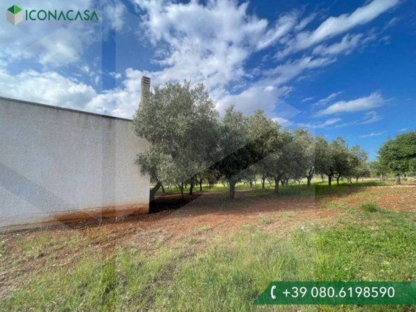 locale di sgombero in vendita a Monopoli