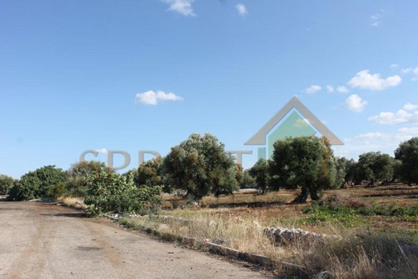 terreno agricolo in vendita a Monopoli