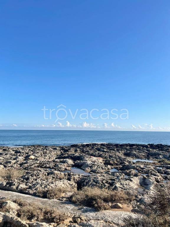terreno agricolo in vendita a Monopoli in zona Centro Storico