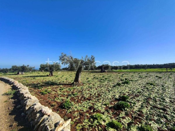 casa semindipendente in vendita a Monopoli