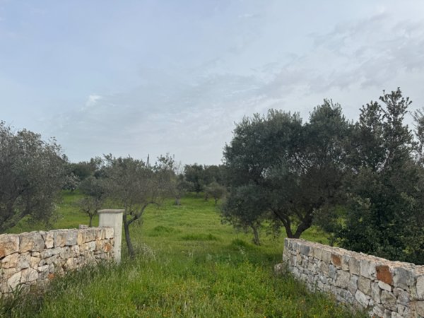 terreno agricolo in vendita a Monopoli