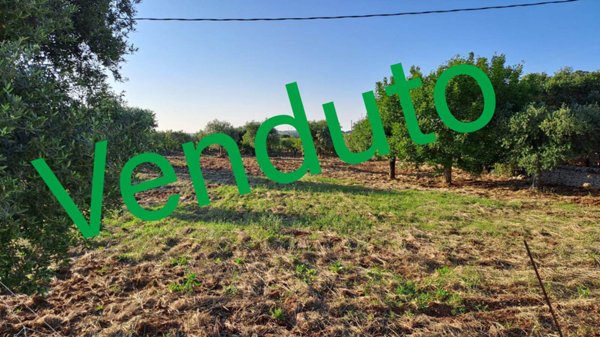 terreno agricolo in vendita a Monopoli