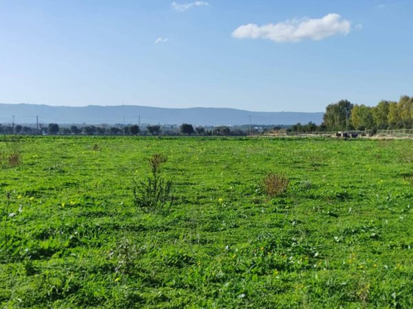 terreno agricolo in vendita a Monopoli