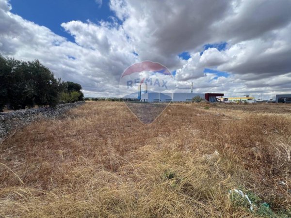 capannone in vendita a Monopoli