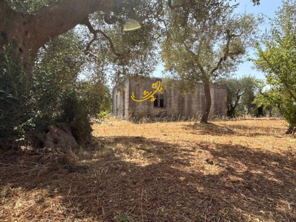 casa indipendente in vendita a Monopoli
