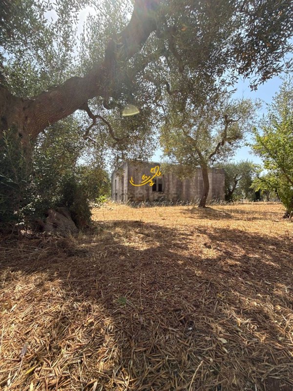 pentavano in vendita a Monopoli