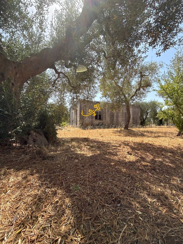 casa indipendente in vendita a Monopoli