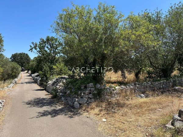 terreno agricolo in vendita a Monopoli
