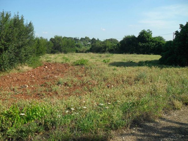 casa indipendente in vendita a Monopoli in zona Cozzana