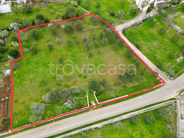 terreno agricolo in vendita a Monopoli