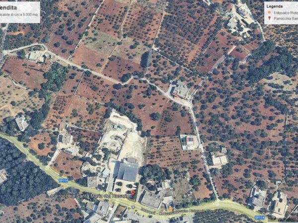terreno agricolo in vendita a Monopoli in zona Cozzana