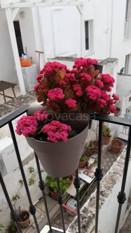 appartamento in vendita a Monopoli in zona Centro Storico