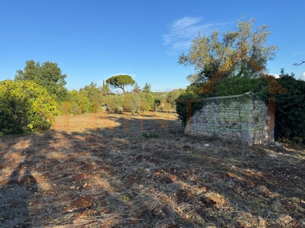 appartamento in vendita a Monopoli in zona San Bartolomeo