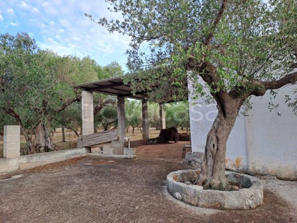 terreno agricolo in vendita a Monopoli