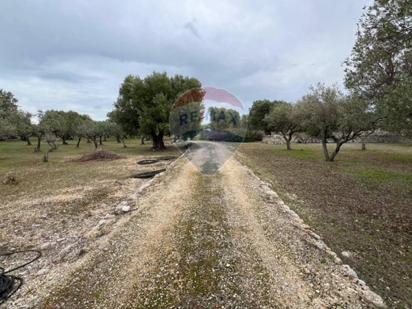 terreno agricolo in vendita a Monopoli