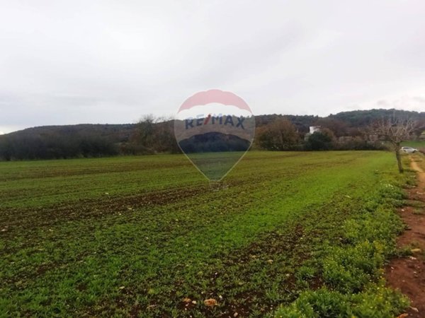 terreno agricolo in vendita a Monopoli