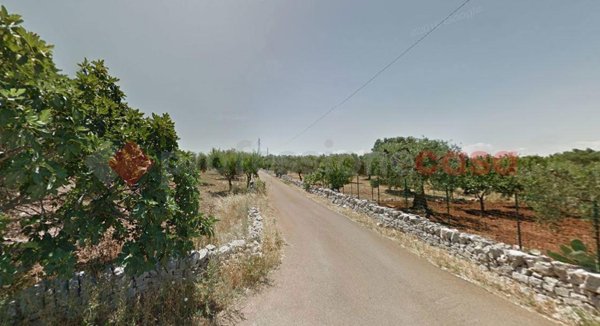terreno agricolo in vendita a Monopoli in zona Cozzana