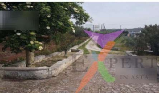 casa indipendente in vendita a Monopoli