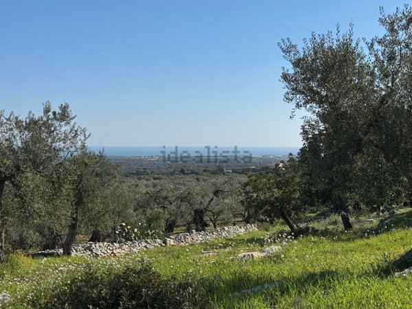 appartamento in vendita a Monopoli