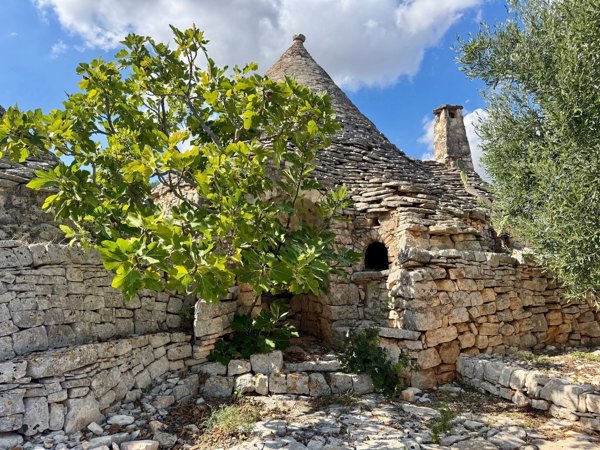 appartamento in vendita a Monopoli