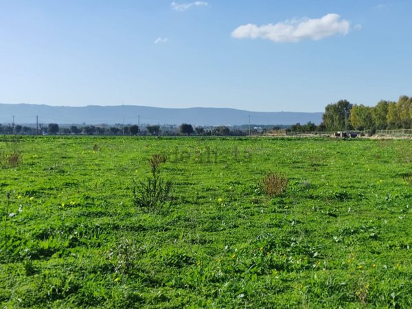 terreno agricolo in vendita a Monopoli