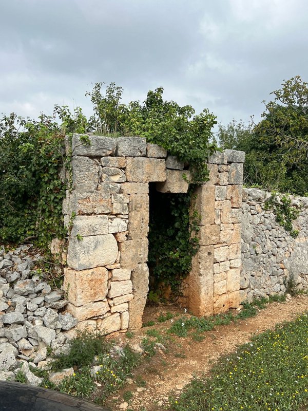 terreno agricolo in vendita a Monopoli