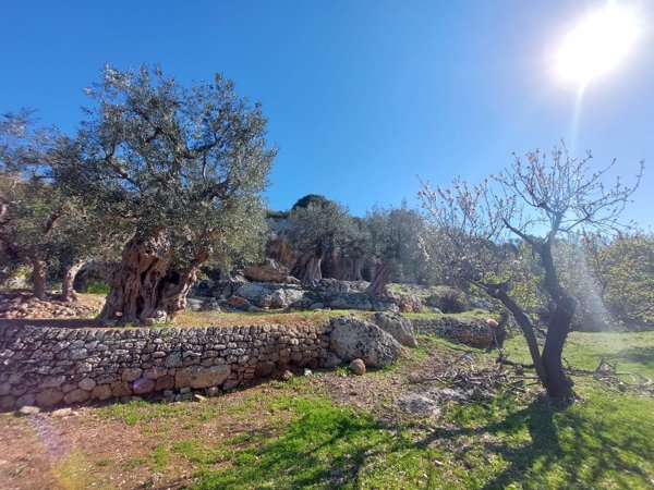 casale in vendita a Monopoli