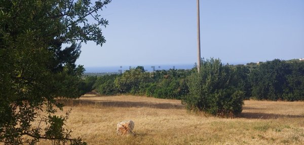 casa indipendente in vendita a Monopoli