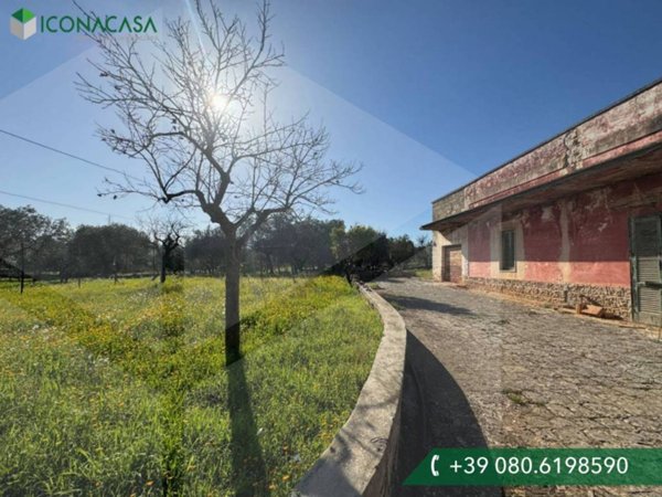 casa indipendente in vendita a Monopoli