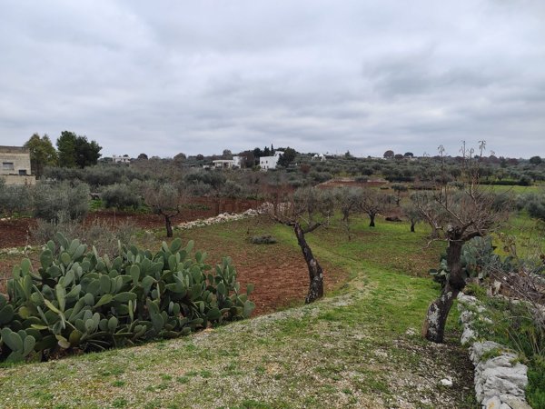 terreno agricolo in vendita a Monopoli