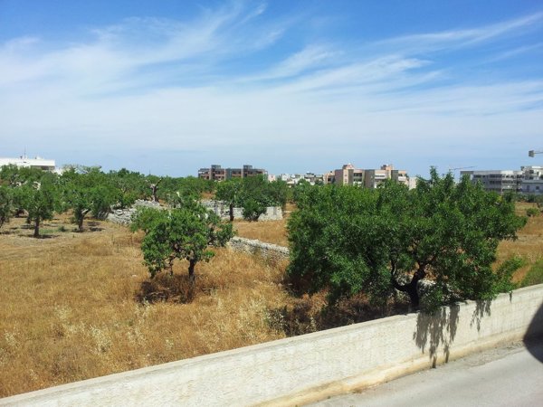 appartamento in vendita a Monopoli