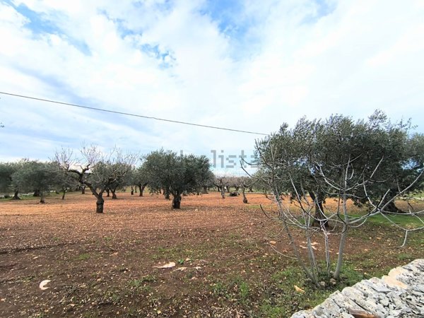 terreno agricolo in vendita a Monopoli
