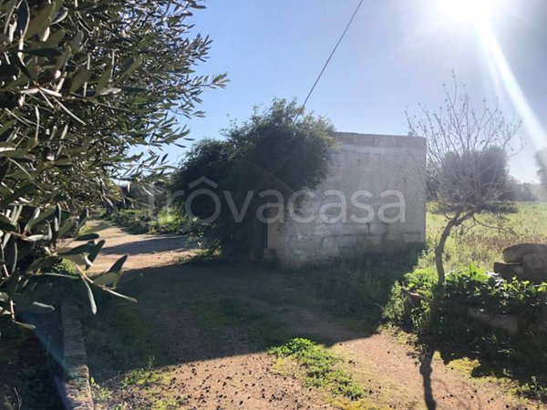 terreno agricolo in vendita a Monopoli in zona Centro Storico