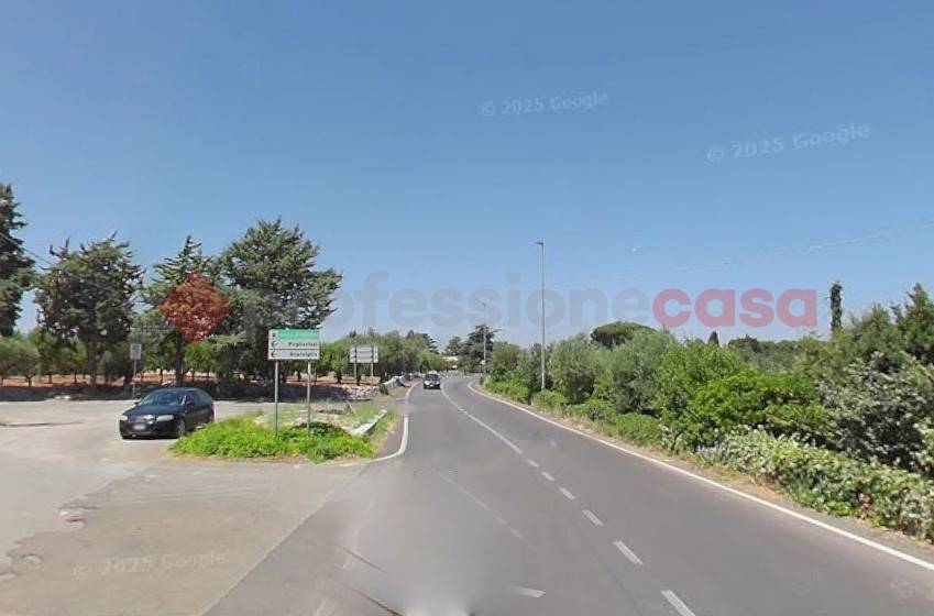 terreno agricolo in vendita a Monopoli