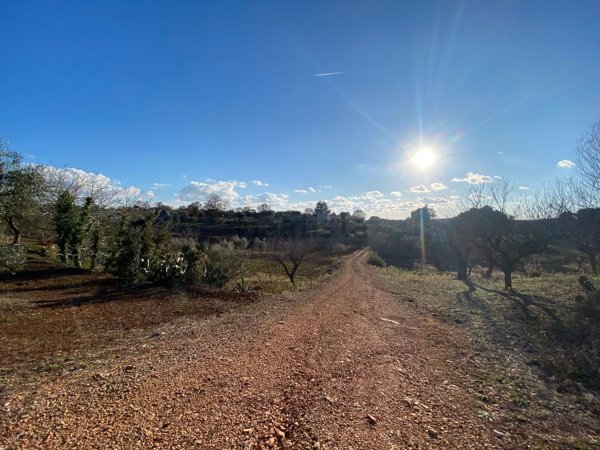 casa indipendente in vendita a Monopoli