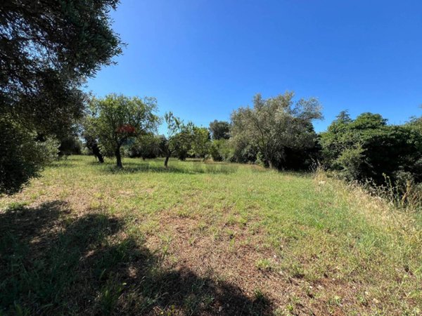 negozio in vendita a Monopoli