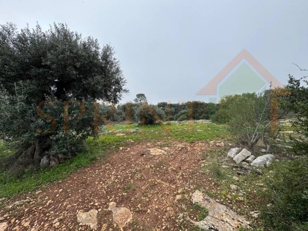 terreno agricolo in vendita a Monopoli in zona Cozzana