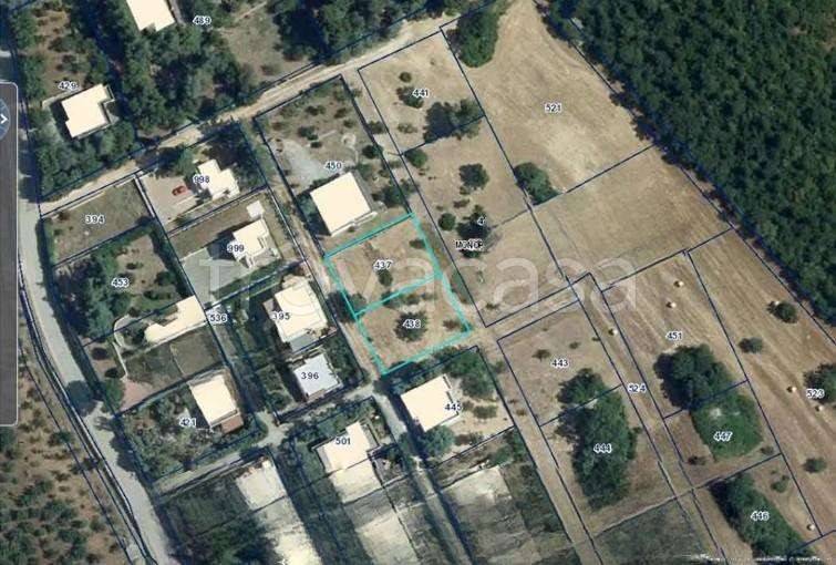 appartamento in vendita a Monopoli