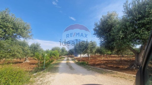 appartamento in vendita a Monopoli in zona Caramanna