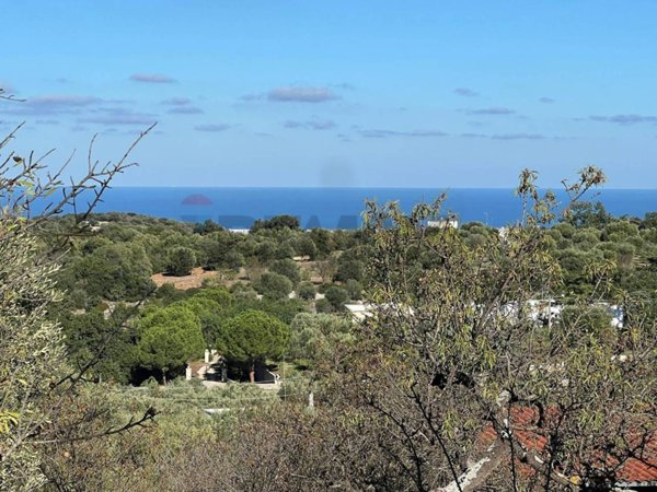 terreno agricolo in vendita a Monopoli