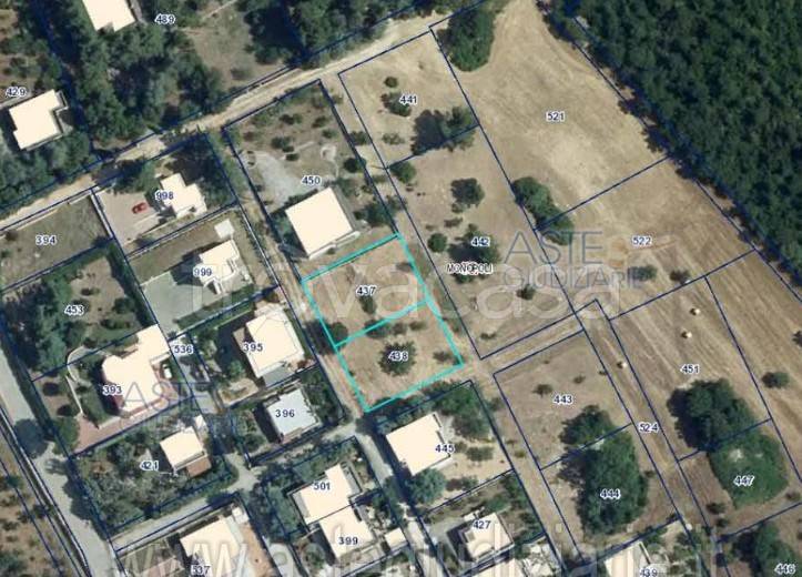 terreno agricolo in vendita a Monopoli