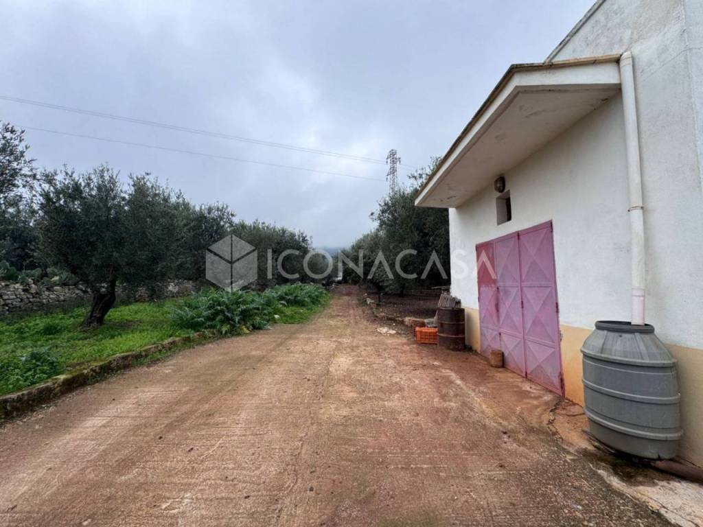 terreno agricolo in vendita a Monopoli
