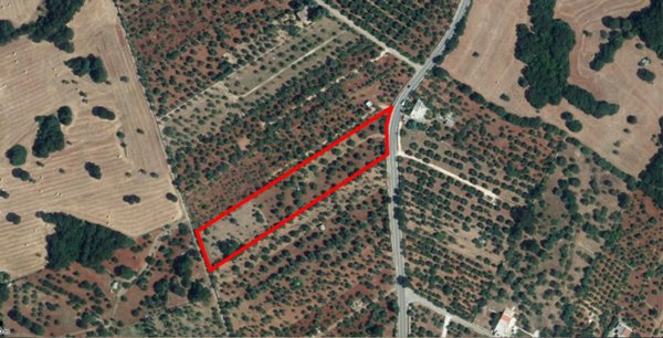 terreno agricolo in vendita a Monopoli
