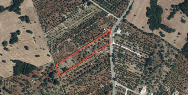 terreno agricolo in vendita a Monopoli